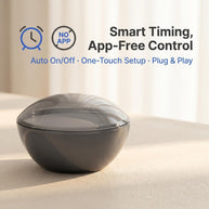 Sunrise Wake Up Light for Morning Routine Restful Reset Gentle Wake Up at Home