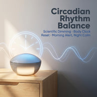 Sunrise Wake Up Light for Morning Routine Restful Reset Gentle Wake Up at Home